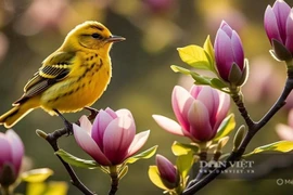 Top 3 con giáp tài lộc thăng hoa nhất năm 2026, trọn vẹn may mắn