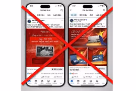 Tích xanh giả mạo tràn lan người tiêu dùng dễ sập bẫy lừa đảo