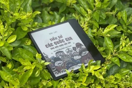 Vì sao mắt vẫn mỏi khi đọc e-ink suốt đêm? 