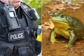 Dùng AI viết báo cáo, cảnh sát Mỹ bị “biến thành ếch”