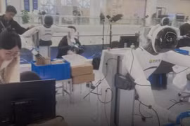 Bên trong “vườn ươm robot” Trung Quốc huấn luyện bằng AI