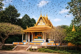 Chùa Dơi Khmer hơn 450 năm và bí ẩn heo 5 móng