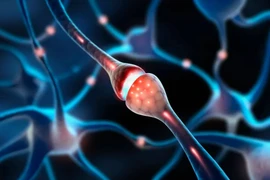 Camera nano Trung Quốc ghi lại khoảnh khắc “nụ hôn thần kinh”