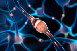 Camera nano Trung Quốc ghi lại khoảnh khắc “nụ hôn thần kinh”