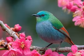 Sinh đúng tháng Âm lịch này, Thần Tài soi chiếu, tiền bạc ào ào đổ về