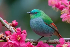 Sinh đúng tháng Âm lịch này, Thần Tài soi chiếu, tiền bạc ào ào đổ về