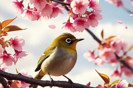 Ai sinh ngày Âm lịch này, cuộc đời đầy rẫy quý nhân