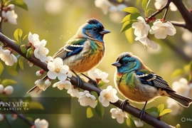5 ngày sinh Âm lịch mệnh phú quý, ai sở hữu sẽ luôn may mắn