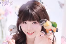 Hot girl viral vì biệt tài nuôi chim vẹt độc lạ