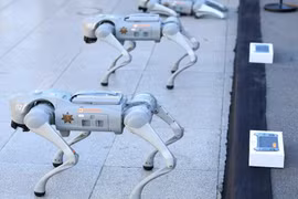 Mexico tung biệt đội chó robot K9-X bảo vệ World Cup 2026