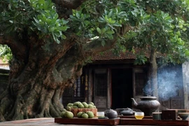 Cây quý không chặt, gia đạo an yên, tiền vào như nước