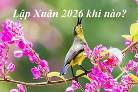 Lập Xuân 2026 bắt đầu ngày 4/2, làm gì để năm mới may mắn?