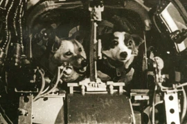 Chuyến bay lịch sử của Sputnik 5 và hai chú chó anh hùng 