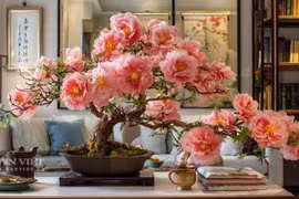 Top 5 cây cảnh hút lộc đón năm mới may mắn, phát tài