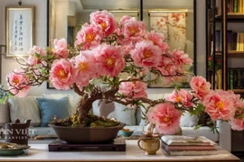 Top 5 cây cảnh hút lộc đón năm mới may mắn, phát tài