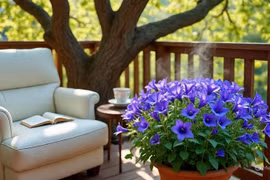  Cây cảnh chữa lành, hoa nở như chuông gió, xanh biếc mùa hè