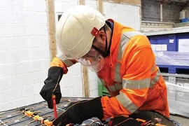 Vi khuẩn 50 triệu năm tuổi tạo ra pin có thể tái chế