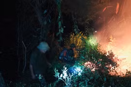 Xuyên đêm dập tắt đám cháy rừng thông tại Nghệ An