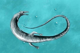 Phát hiện 'rồng sơ sinh' 150 triệu tuổi khiến giới khoa học bàng hoàng