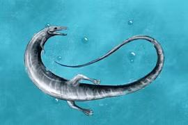 Phát hiện 'rồng sơ sinh' 150 triệu tuổi khiến giới khoa học bàng hoàng