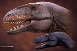 Loài khủng long nào từng thống trị trước thời T. rex?