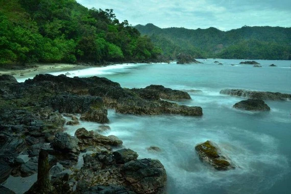 Thánh địa cuối cùng của loài vật khổng lồ đã tuyệt chủng ở Việt Nam 