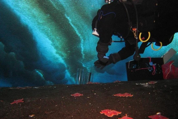 40 lỗ thở bí ẩn dưới đáy biển Nam Cực cảnh báo hiểm họa toàn cầu