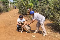 Nam thanh niên tử vong sau 20 ngày bị chó cắn