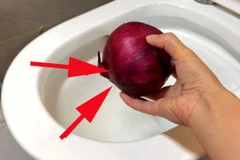 Củ hành tây sẽ giải quyết bồn cầu có mùi hôi khó chịu