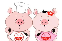 Dự báo cát vận, hung vận tuổi Hợi 12 tháng năm 2018