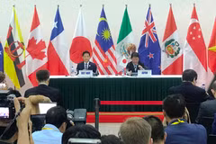 Đạt được thỏa thuận, Hiệp định TPP-11 có tên gọi mới