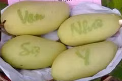 Đu đủ, dừa, xoài khắc chữ độc đáo chờ bung hàng bán Tết