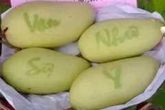 Đu đủ, dừa, xoài khắc chữ độc đáo chờ bung hàng bán Tết