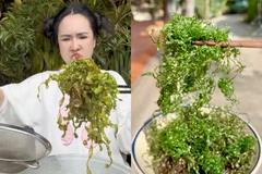 Mạng xã hội rần rần trước trend lá chuối chiên giòn rụm