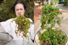 Mạng xã hội rần rần trước trend lá chuối chiên giòn rụm