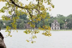 Dự báo thời tiết 7/6, miền Bắc dịu mát