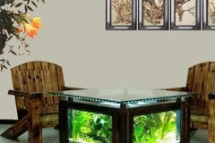 Vị trí đặt bể cá trong nhà cầu may mắn và rước tài lộc