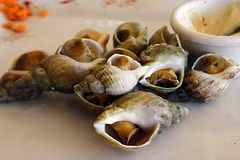 Cận cảnh ốc Bulot Pháp nửa triệu/kg hút hồn nhà giàu Việt