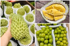 3 loại quả đắt đỏ bất ngờ thành hàng bình dân bán đầy chợ 