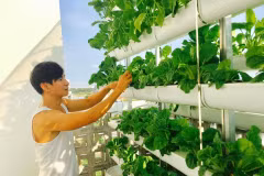 Mỏi mắt ngắm 'nông trại mini' xanh mướt trong nhà sao Việt