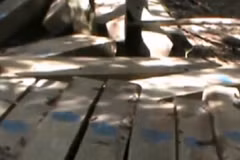 Cận cảnh gỗ rừng bị đốn hạ la liệt ở Quảng Nam