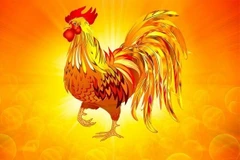 Vấp trúng rương vàng, 3 tuổi nháy mắt giàu to cuối tháng 3