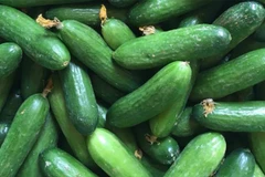 Loại quả dễ ăn, có tác dụng ngăn tế bào ung thư sinh sôi