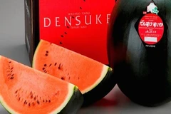 Dưa hấu đen giá khủng 130 triệu đồng/quả có gì đặc biệt? 