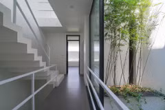 Sửng sốt “nhà trong cây” kịch độc ở Bắc Ninh