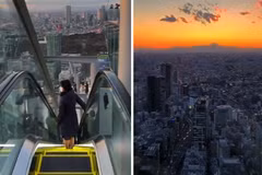 Ngỡ ngàng những điều “độc nhất vô nhị” ở Nhật Bản