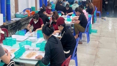 Thu giữ hơn 150.000 con tôm hùm giống không rõ nguồn gốc ở Khánh Hoà