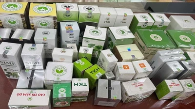 12 sản phẩm trong đường dây sản xuất, buôn bán thực phẩm chức năng giả