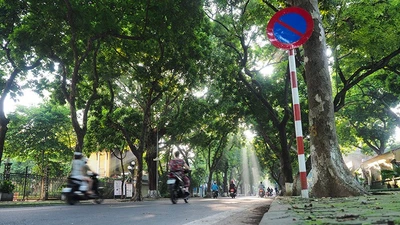 Không khí lạnh tràn về, Bắc Bộ có nơi dưới 20 độ