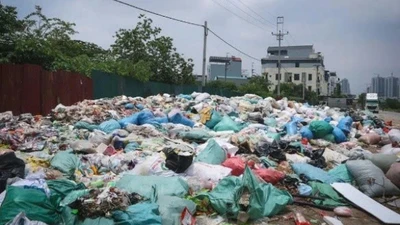 Hà Nội kiểm tra việc xử lý vệ sinh môi trường tại La Phù 